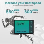 EVM SSD 128 GB